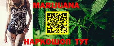 мдпв Гатчина