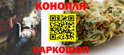 амф Гай
