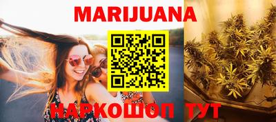 мдпв Гатчина