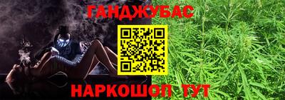 амф Гай