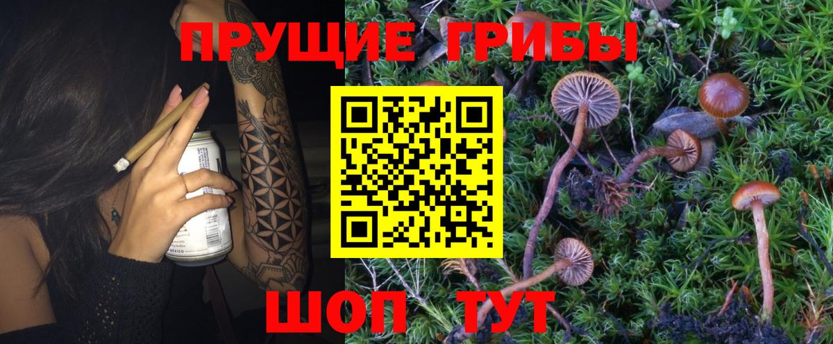 Галлюциногенные грибы MAGIC MUSHROOMS Сергиев Посад